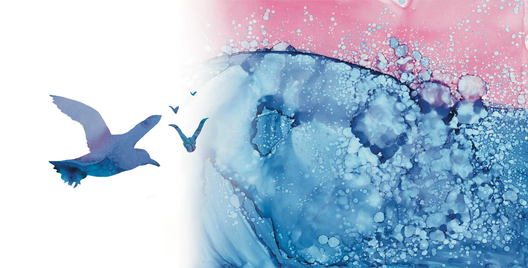 The World Is Your Oyster The World Is Your Oyster